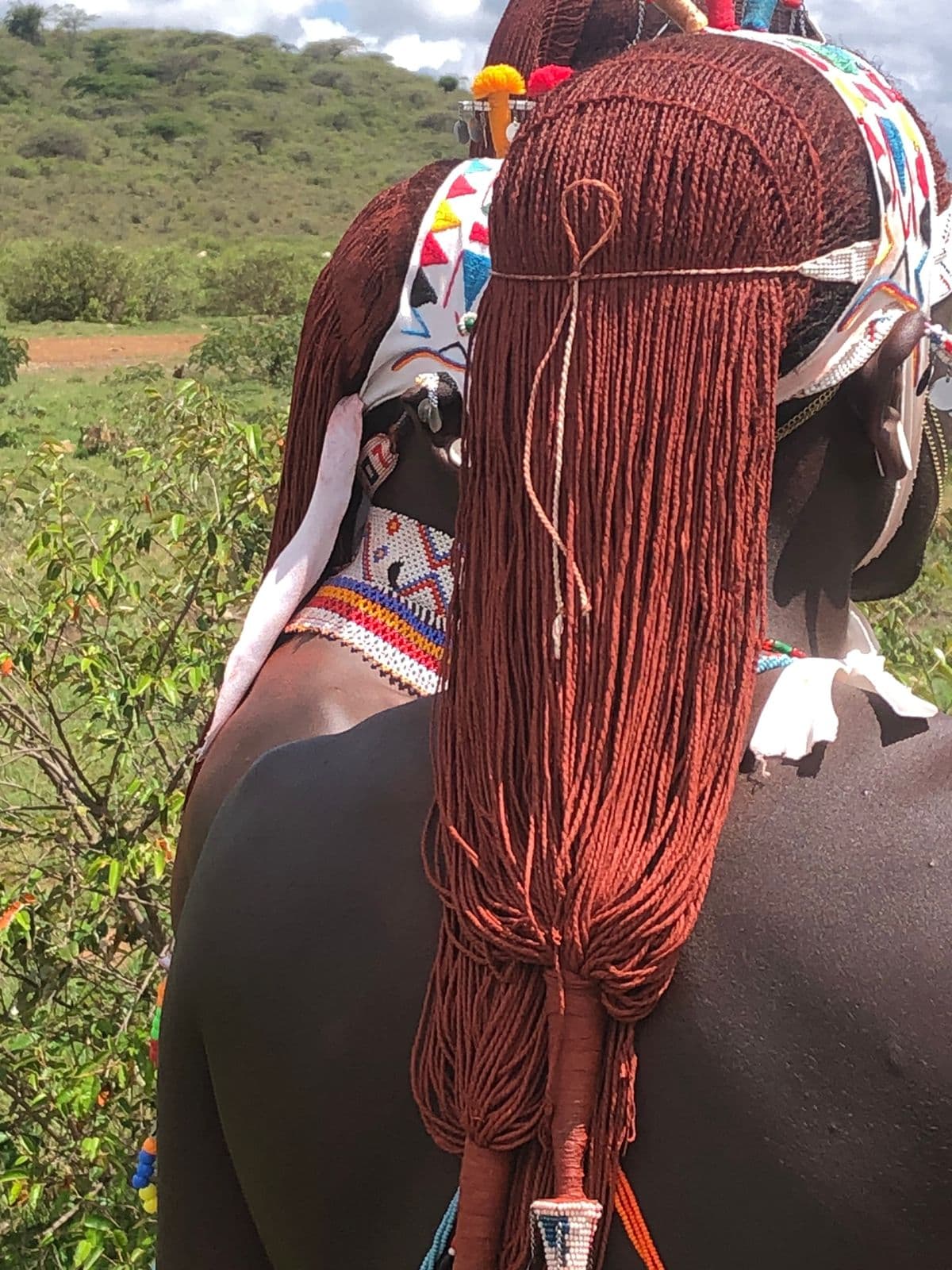 The Big Five Safari Experience: Your Complete Guide