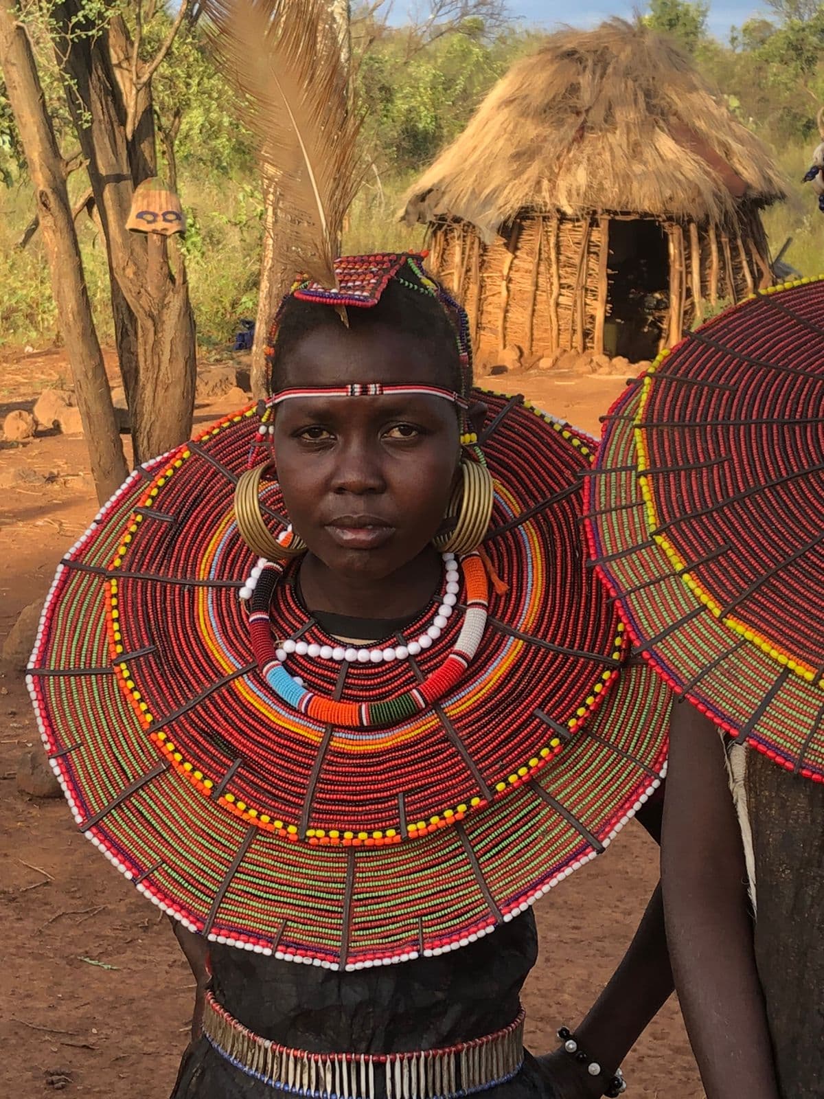 All You Need to Know About a Southern African Versus an Eastern African Safari in 2026