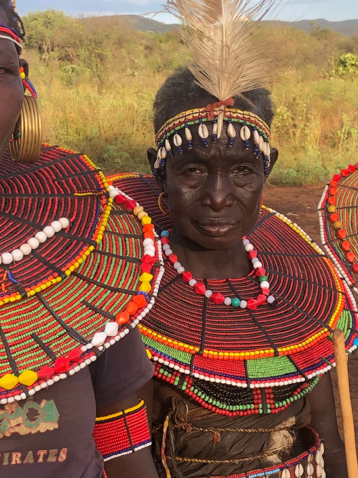 Safari Accommodation Guide: Camps, Lodges, and Luxury Tents