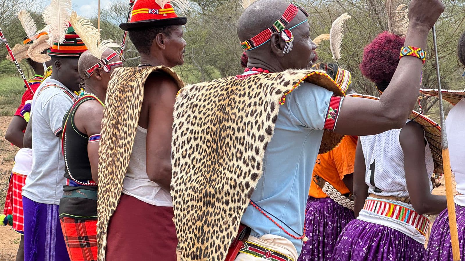 Safari Photography Tips: Capturing Africa's Wildlife