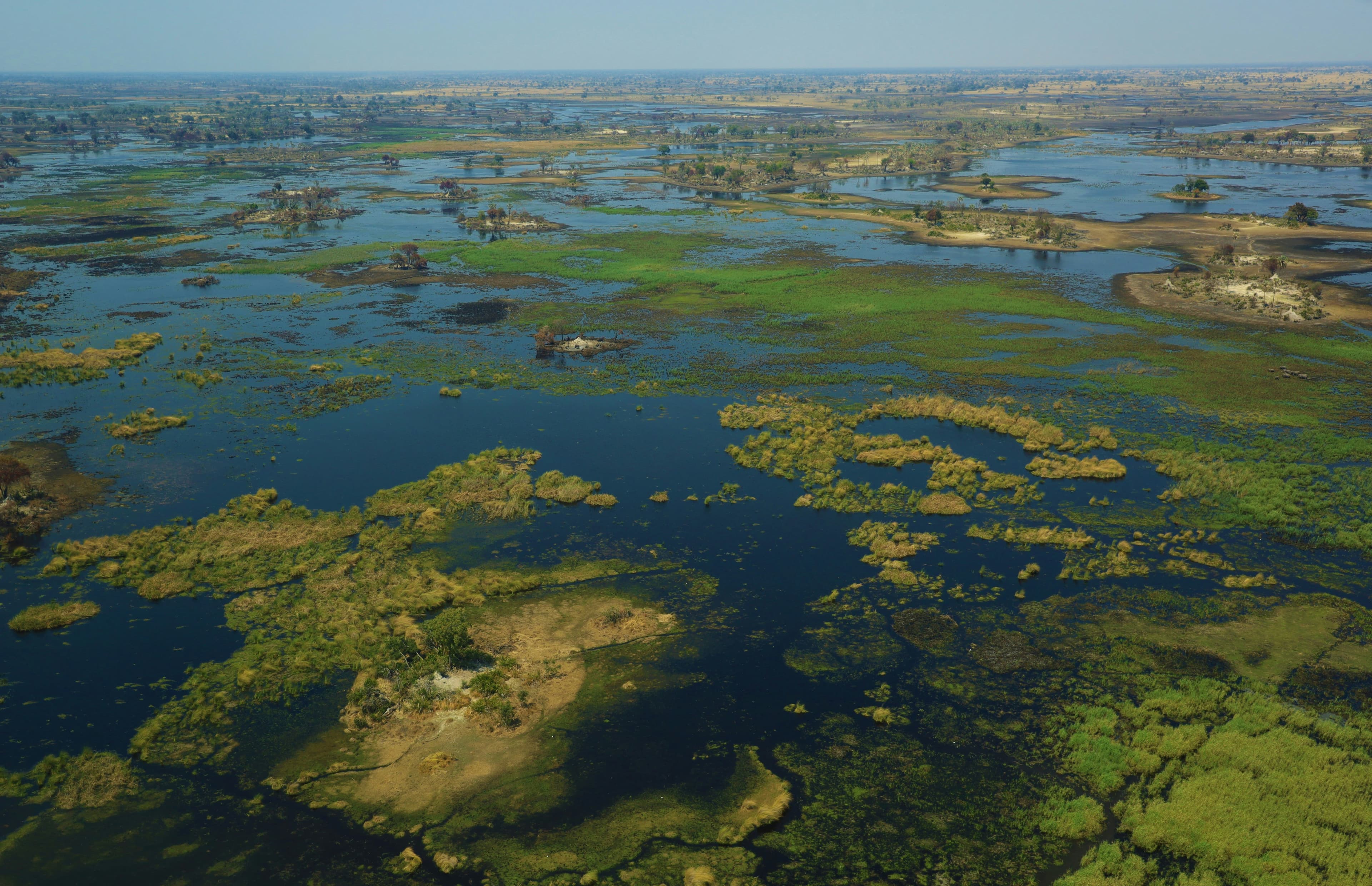 Okavango Delta Safari - 4 Days