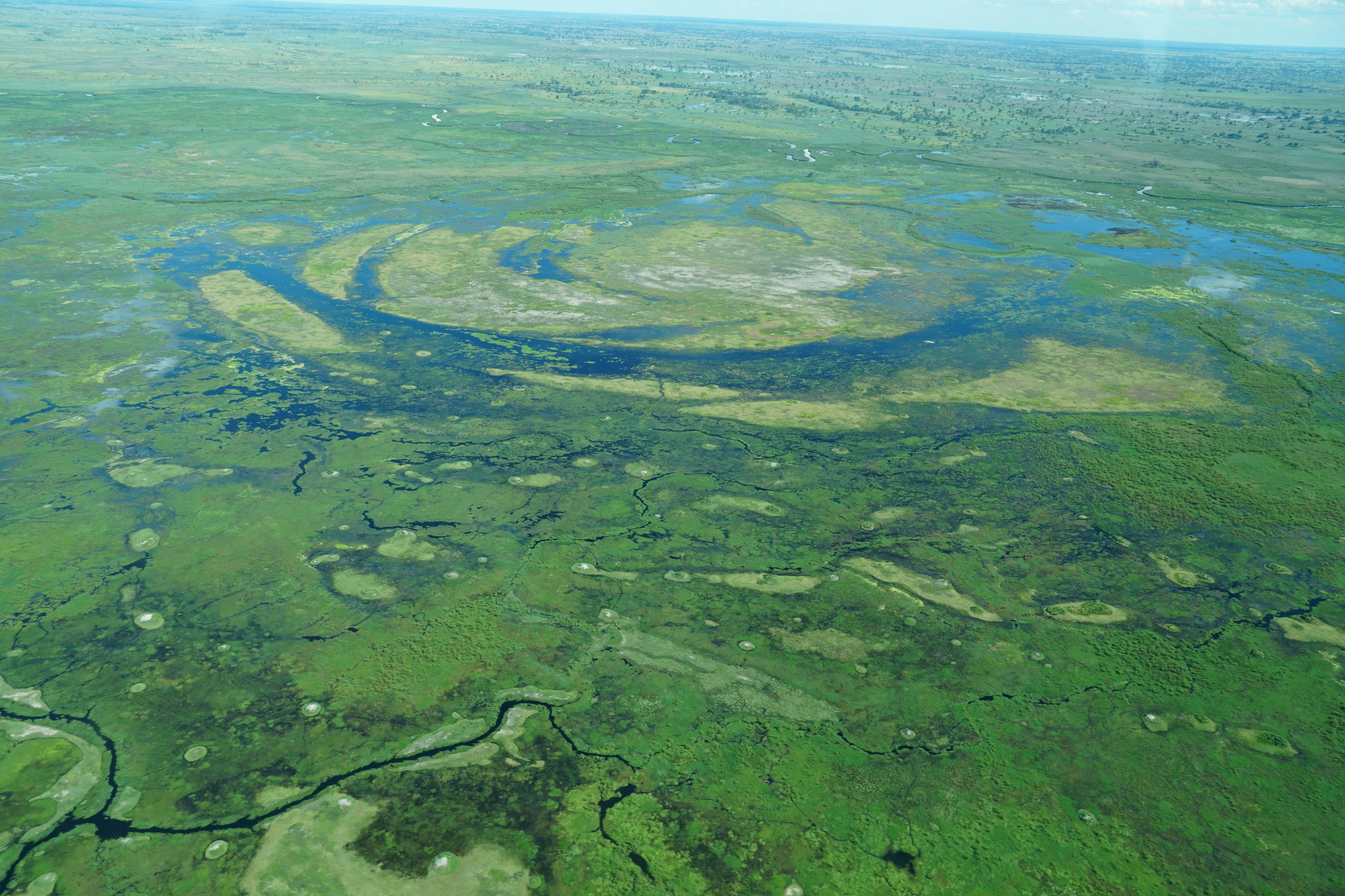 Okavango Delta Safari - 4 Days - Image 4