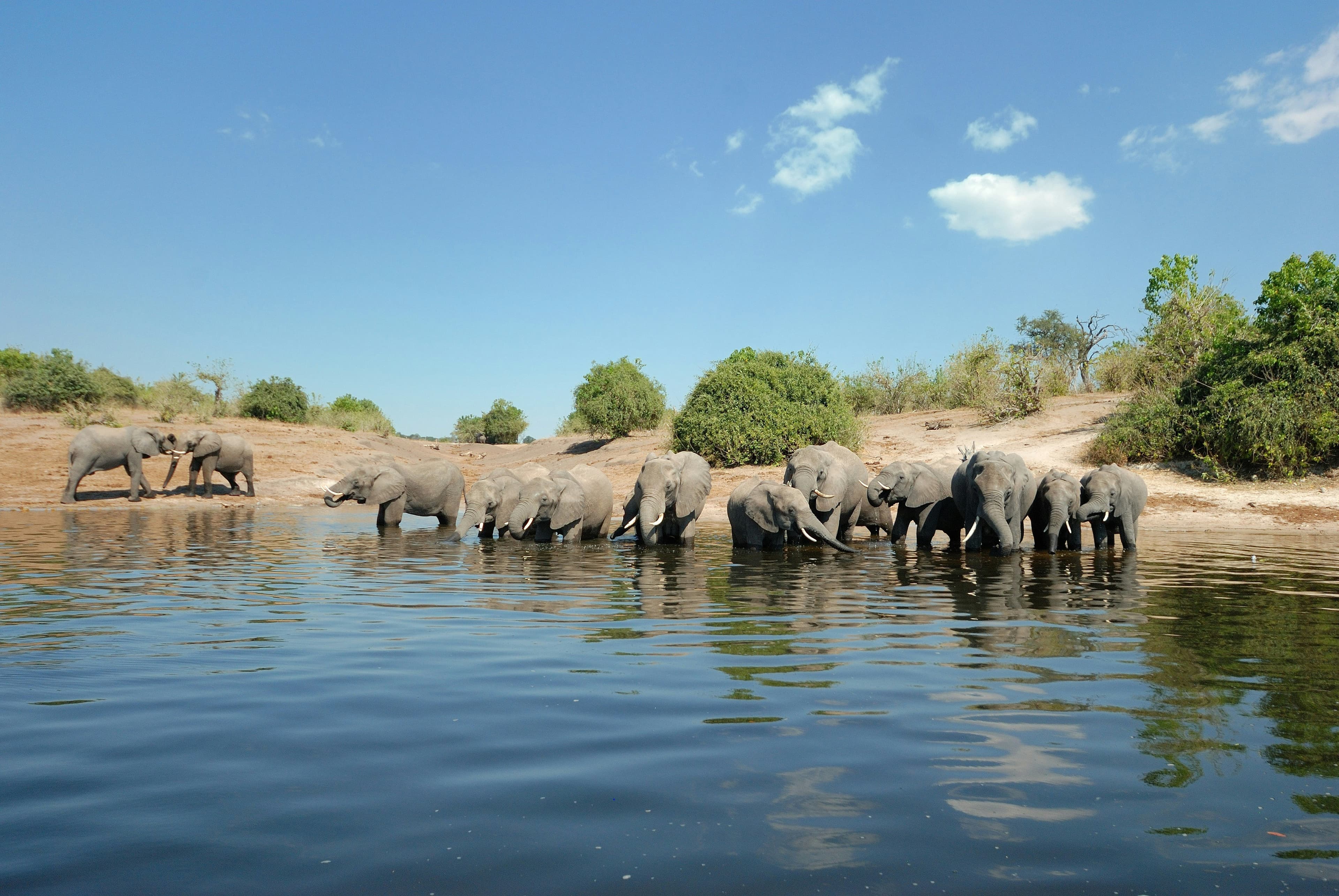 Chobe National Park Safari - 3 Days - Image 2