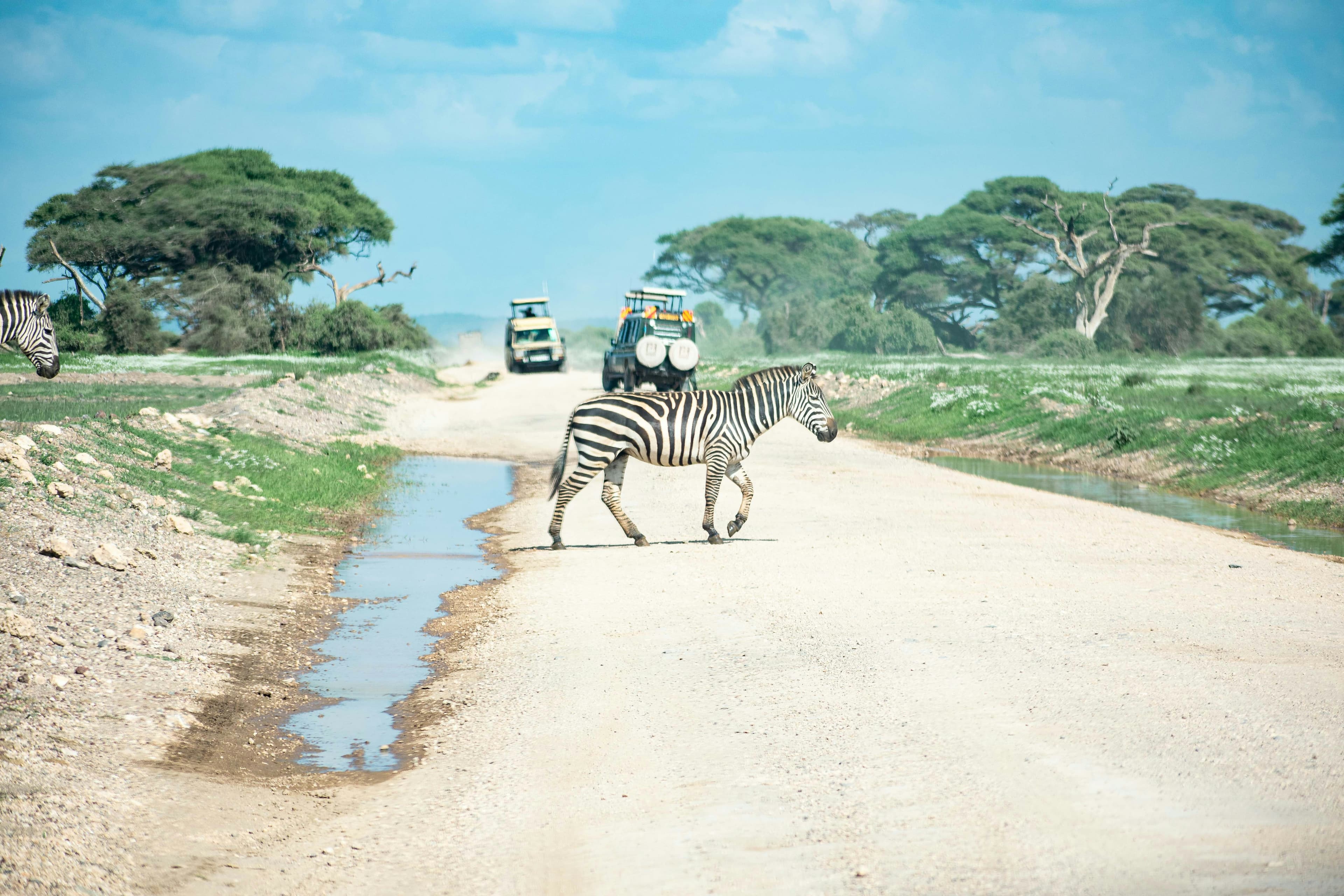 Amboseli Kilimanjaro Views Safari - 4 Days