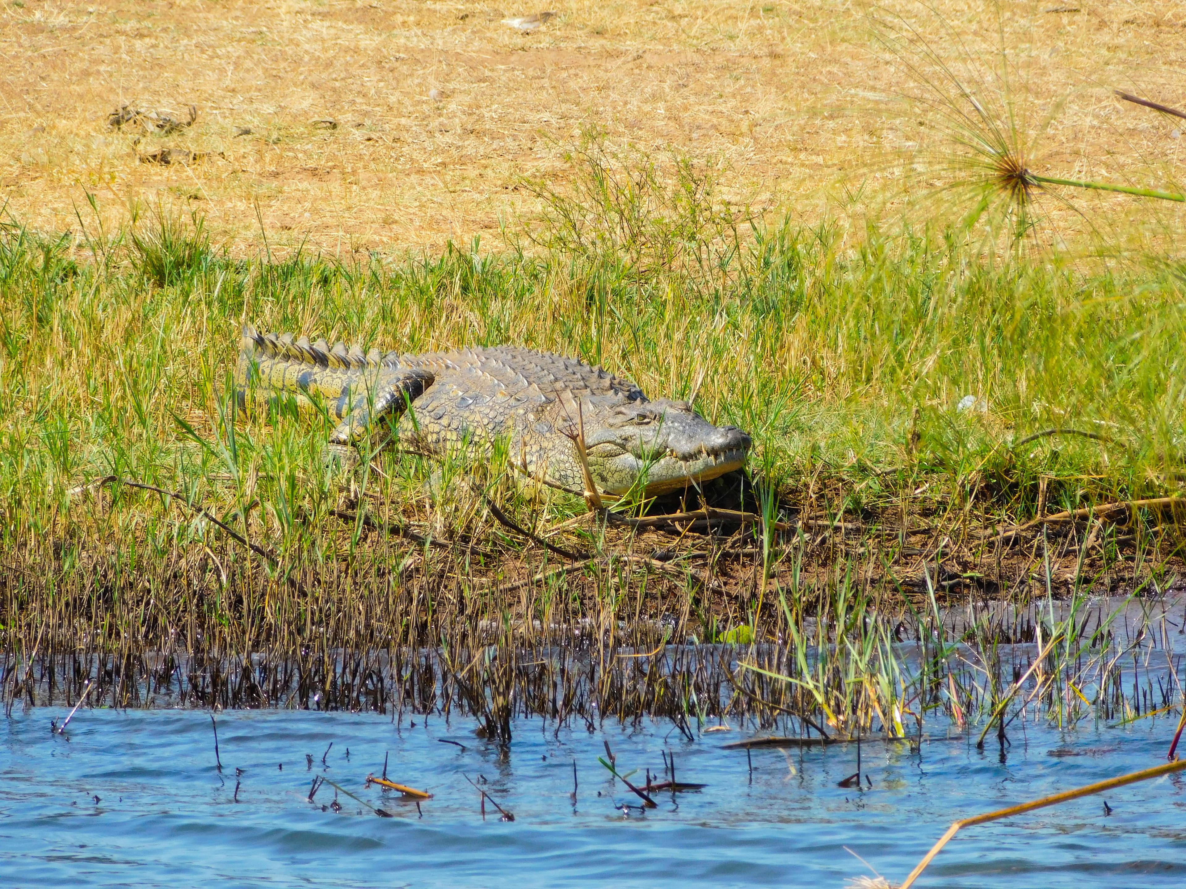 Akagera National Park Safari - 2 Days