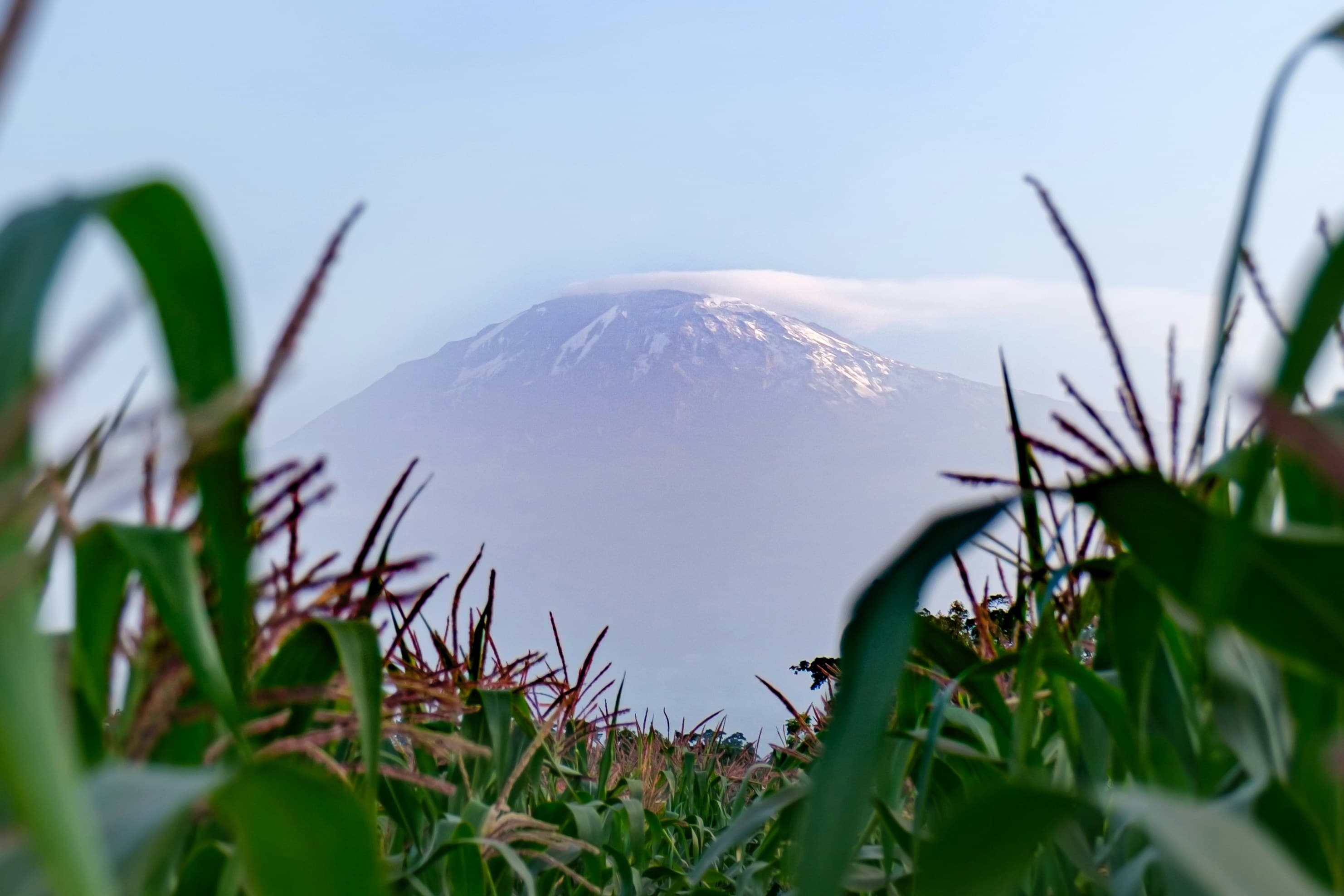 Mount Kilimanjaro Trekking - Marangu Route 6 Days