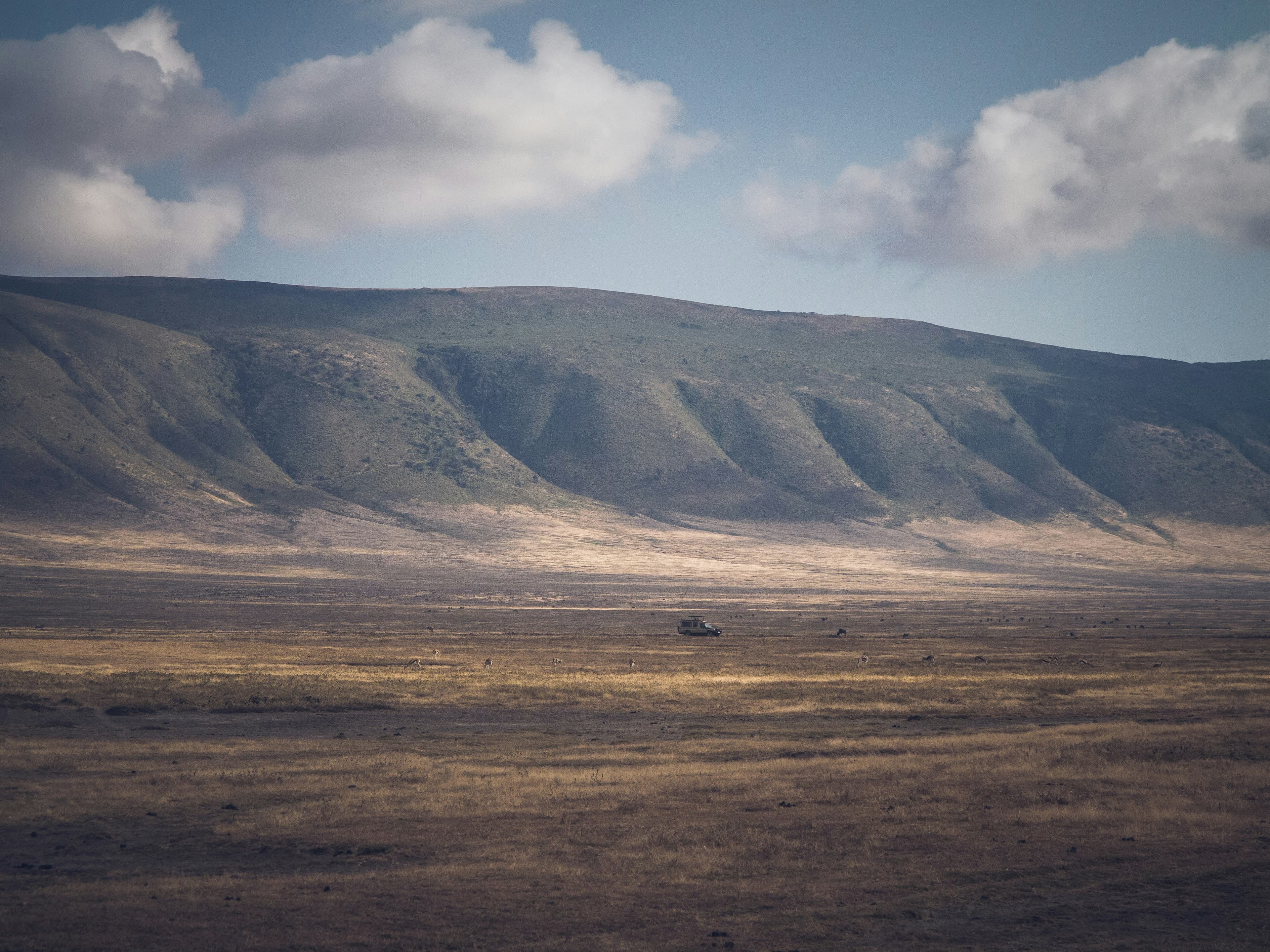 Ngorongoro Crater & Lake Manyara Safari - 4 Days