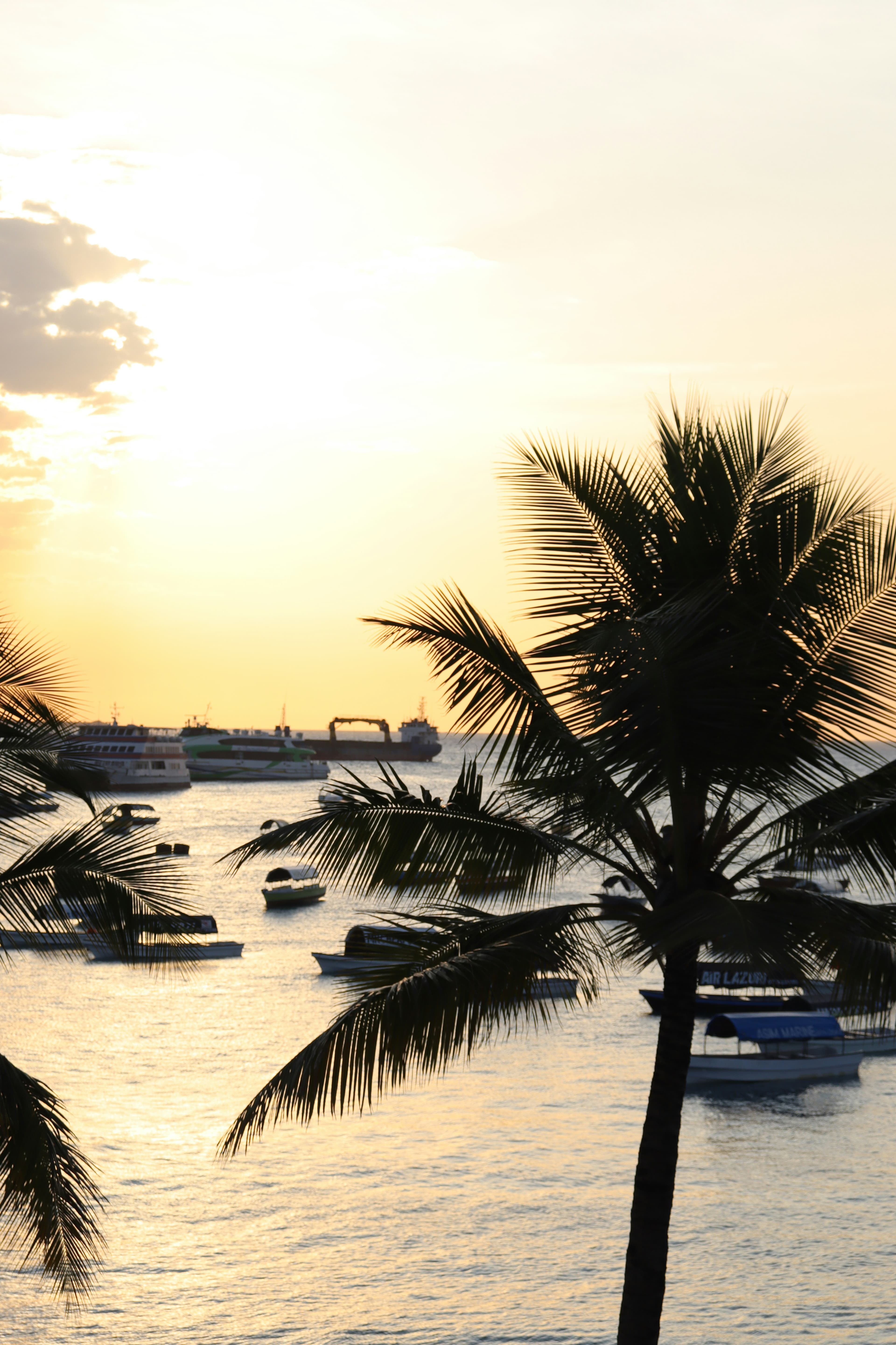 Stone Town & Cultural Zanzibar - 3 Days - Image 3