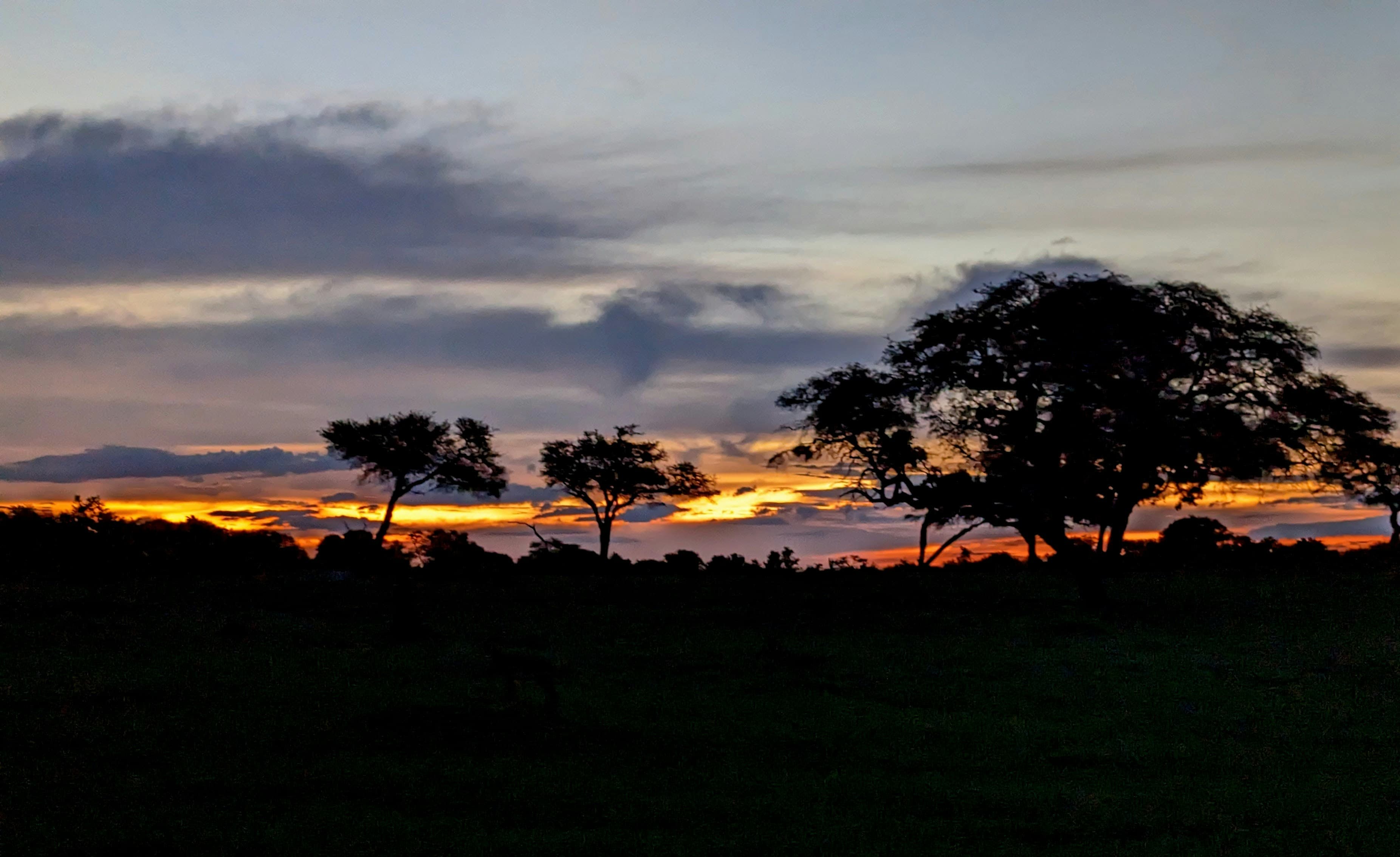 Hwange National Park Safari - 4 Days - Image 2